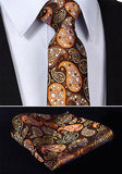 Royal Swagg Stylish Men Tie and  Pocket Square Sets - BossStatusCollection.Com